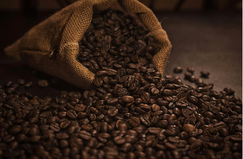 Exploring Brazilian Santos Coffee: The Bean Behind the Buzz