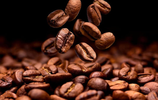 The Science Behind your Morning Brew