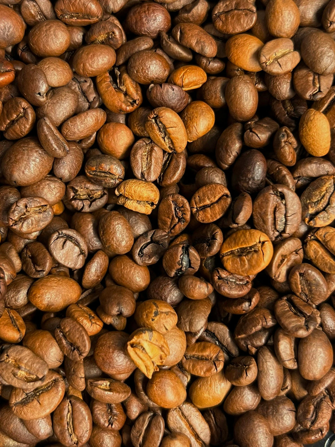 Light vs Dark Roast Myths Every Coffee Lover Should Know