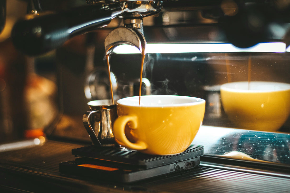 Why Your Coffee Tastes Better in the Right Cup